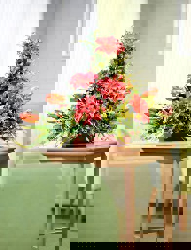 Festing Court 23 Original