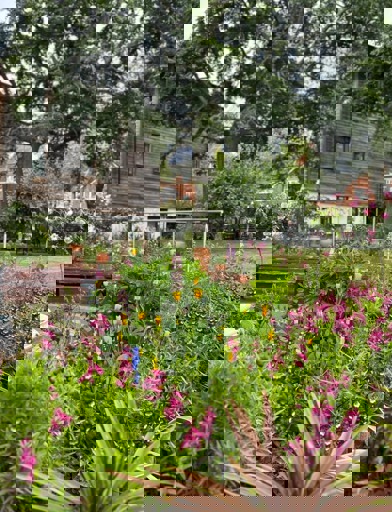 Rohangardens 2025 Outside 07 