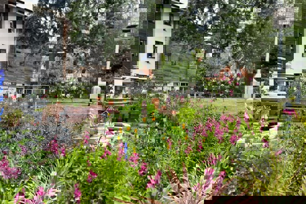 A close up photograph of the flowers and plants in the rear garden with water fountain and seating