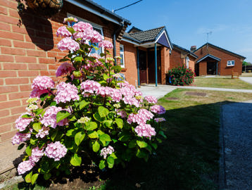 A row of bungalows with flowers around the front door