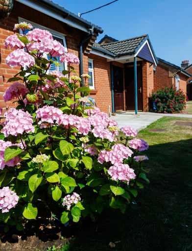 A row of bungalows with flowers around the front door 
