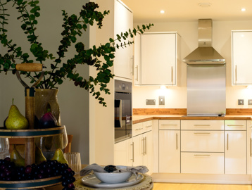 DSC 3295 Aldaniti Court Extra Care 2