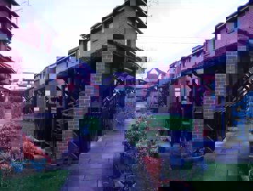 Edward Onyon External Cat 1