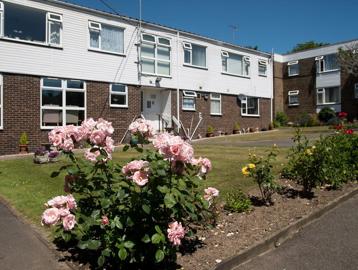 Trefor Jones Court 8