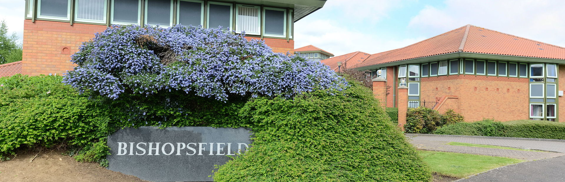 Bishopsfield 6