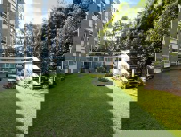 Large communal garden area with lawn, plants and steps up to patio area
