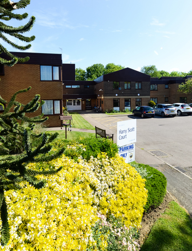 Harry Scott Court 001 