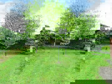 Image (79)