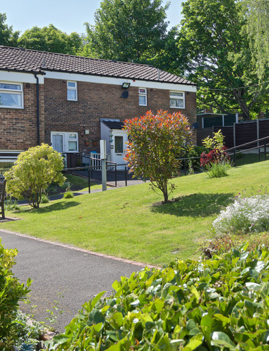 Small trees, shrubs, plants and flowers in front communal gardens