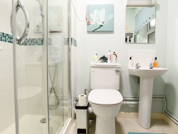 Accessible shower next to a white toilet and sink