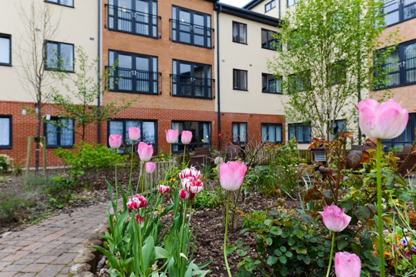 Close up of tulips in the garden area outside Queensridge Court