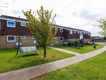 Garden with chair swing and outdoor seating