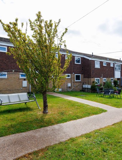 Garden with chair swing and outdoor seating 