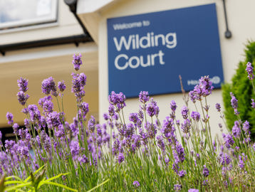 A sign with the words 'Wilding Court' displayed, with flowers in the foreground