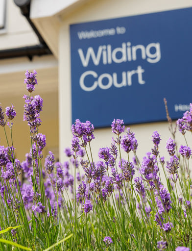 A sign with the words 'Wilding Court' displayed, with flowers in the foreground 