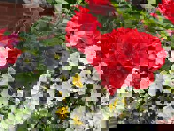 451482058 991054653023540 8021496971383305017 N