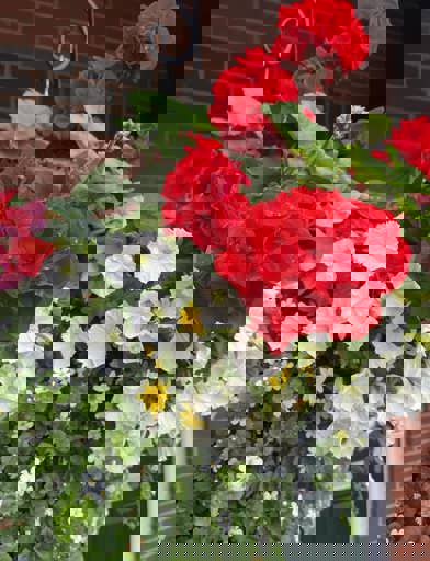 451482058 991054653023540 8021496971383305017 N 