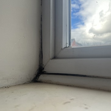 Mould around a window frame