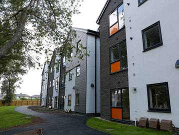 Image (7)