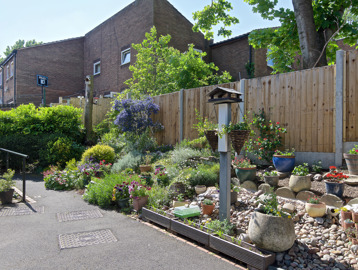 Small garden area with plants and flowers and bird table