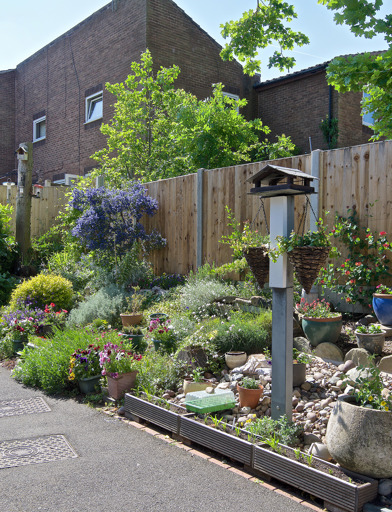 Small garden area with plants and flowers and bird table