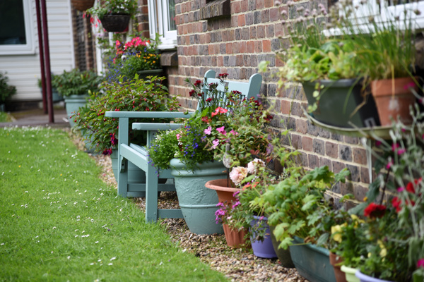 Close-up of plant pots and a bench in the communal garden
