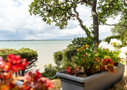 A garden overlooking the sea