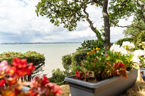 A garden overlooking the sea