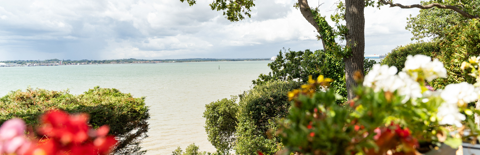 A garden overlooking the sea