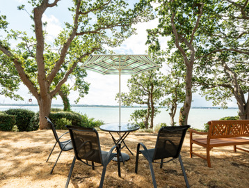A garden overlooking the sea