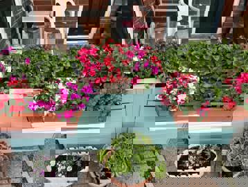 449026993 977348747727464 8943813350660293097 N