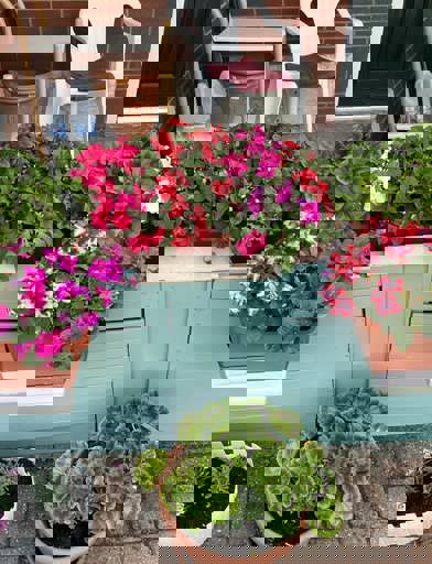 449026993 977348747727464 8943813350660293097 N 