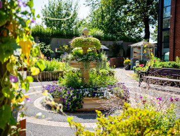 Garden at Rohan Gardens