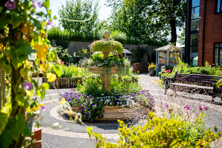 Garden at Rohan Gardens