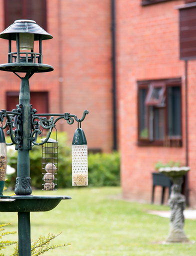 Pegasus Court Outdoors 