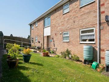Communal garden area with plants and flowers in bloom on a sunny day
