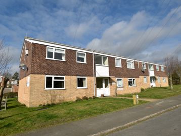 Thompson Court 8