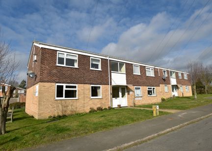 Thompson Court 8