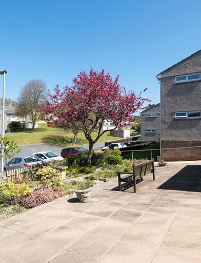 A hard-landscaped communal patio garden at the front of the scheme with plans, ornaments and bench 