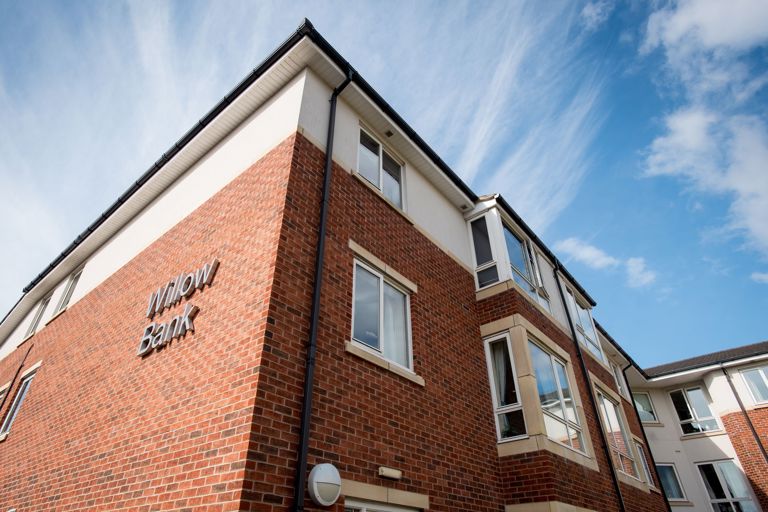 Willow Bank 13
