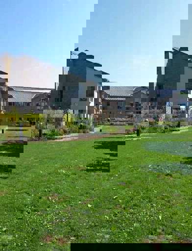 Greenlane View 6 