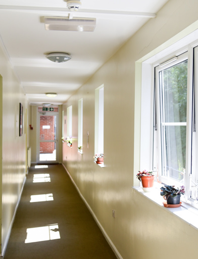 Ross Willis Court 11