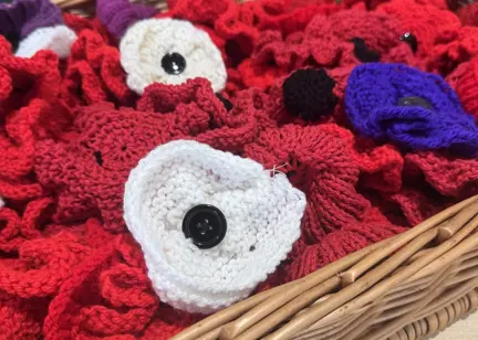 Limestone View Poppy Dispaly 2