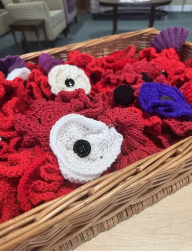 Limestone View Poppy Dispaly 2 