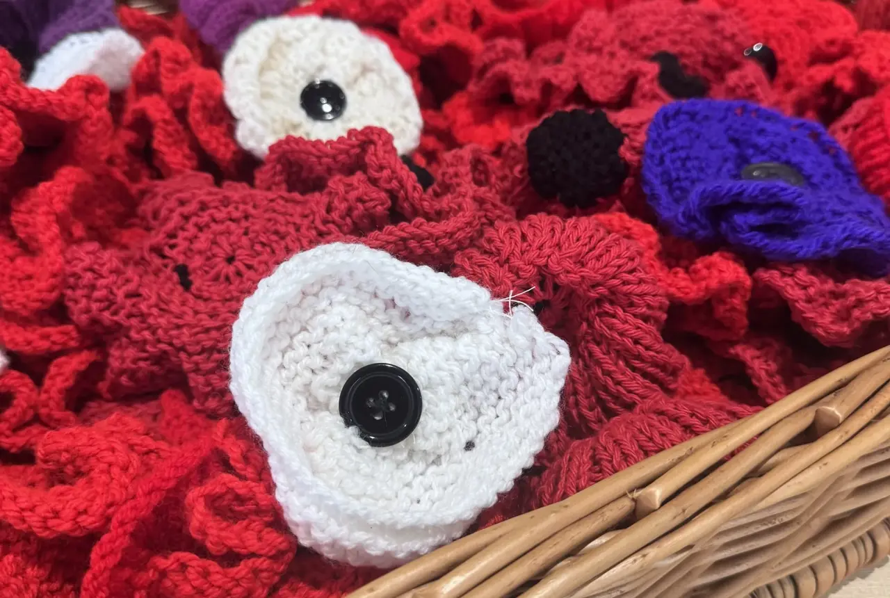 Limestone View Poppy Dispaly 2