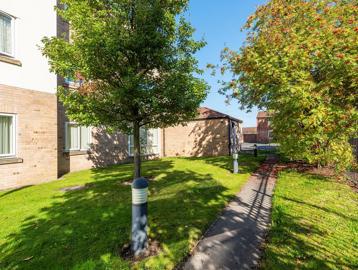 Small garden area with trees and a path on a bright and sunny day