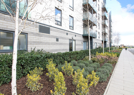 2420 Prospect Place 001