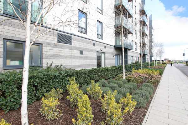 2420 Prospect Place 001