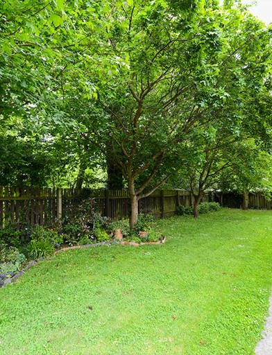 Mcnish Court Garden And Patio 