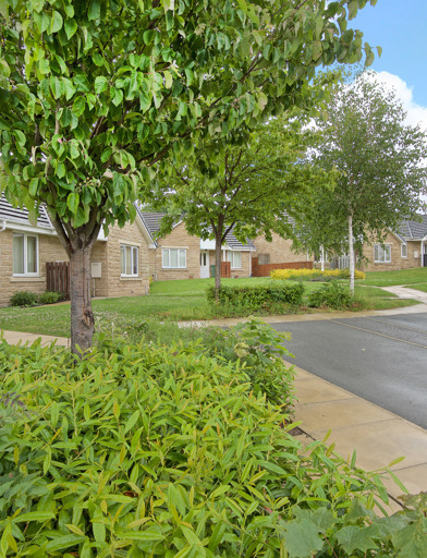 Ashwood Close Hd2 013 